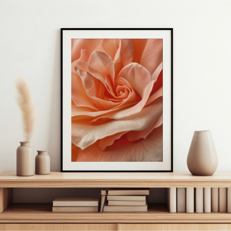 Radiant Peach Rose Digital Art Set