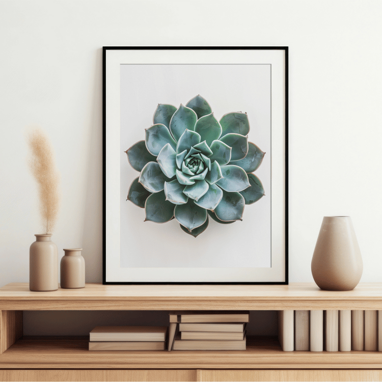 Minimalist Succulent Digital Art Set