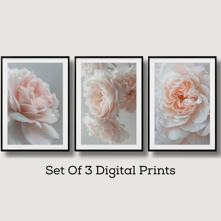 Elegant Blush Pink Peony Digital Art Set