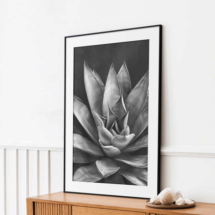 Monochrome Succulent Digital Art Set