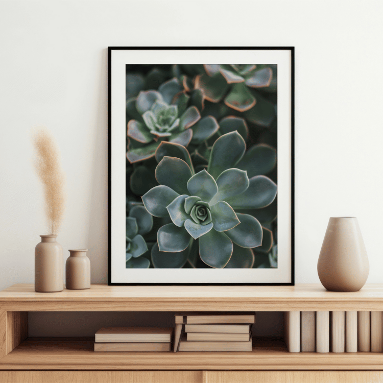 Vibrant Succulent Trio Photography Art Set