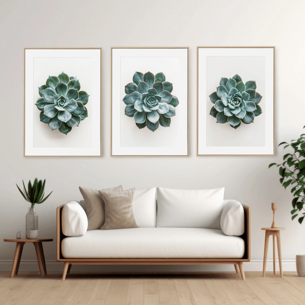 Minimalist Succulent Digital Art Set