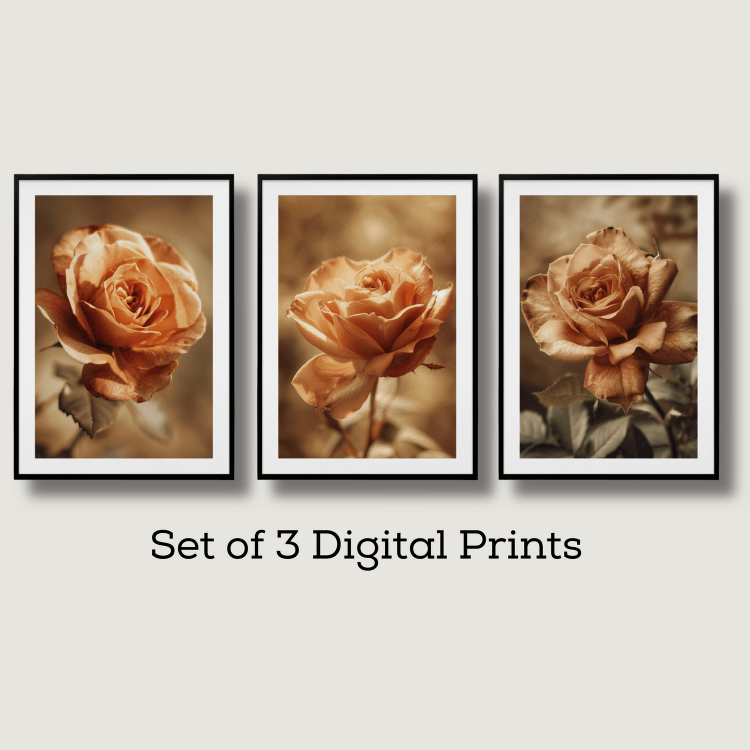 Golden Sepia Rose Digital Art Set