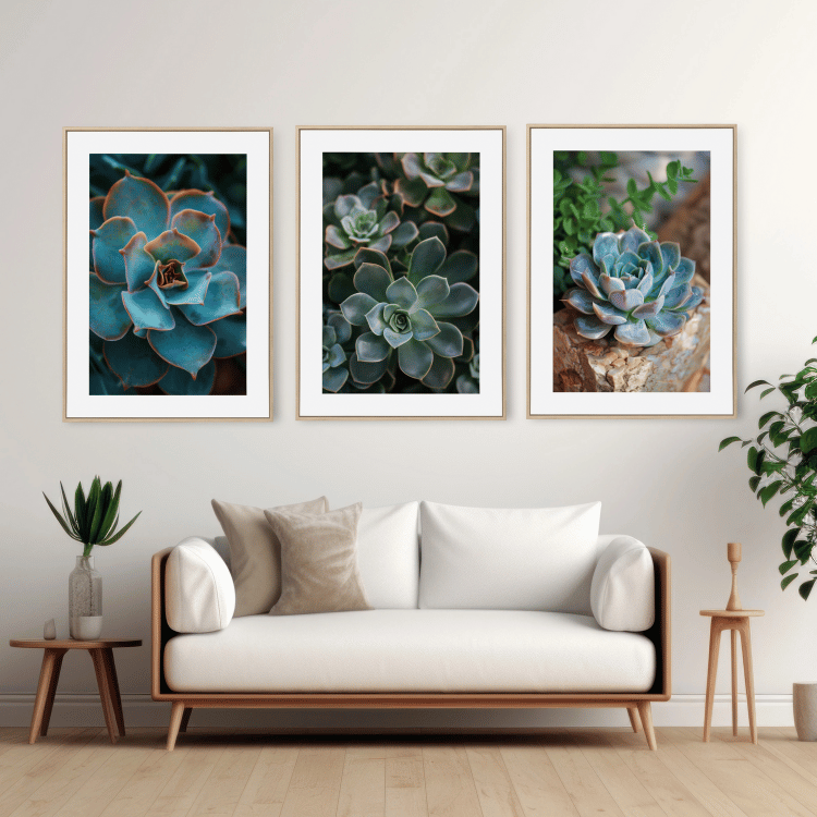 Vibrant Succulent Trio Photography Art Set