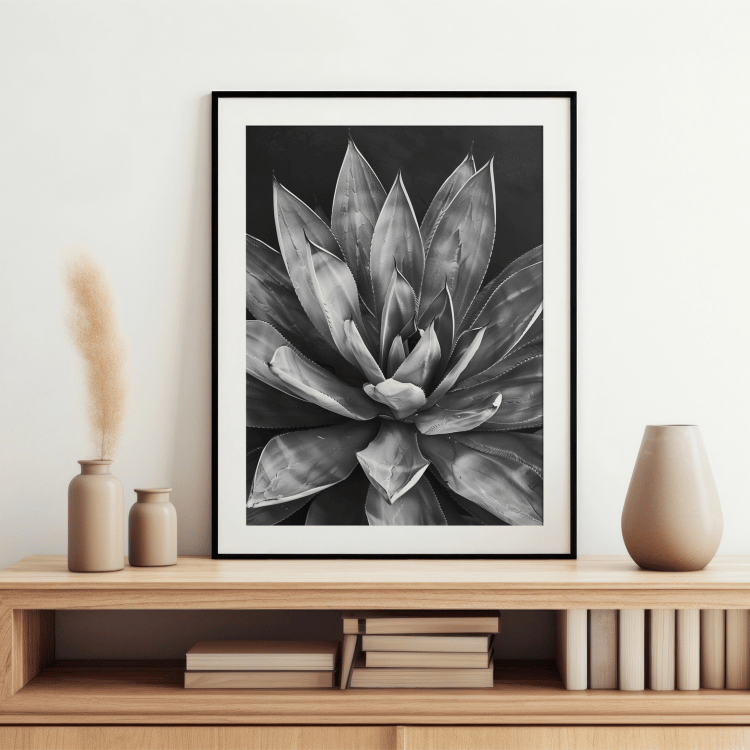 Black and White Succulent Digital Art Set