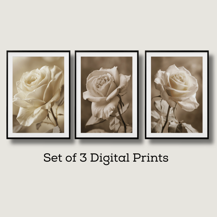 Vintage Sepia Rose Digital Art Set