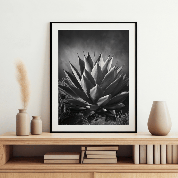 Monochrome Succulent Digital Art Set