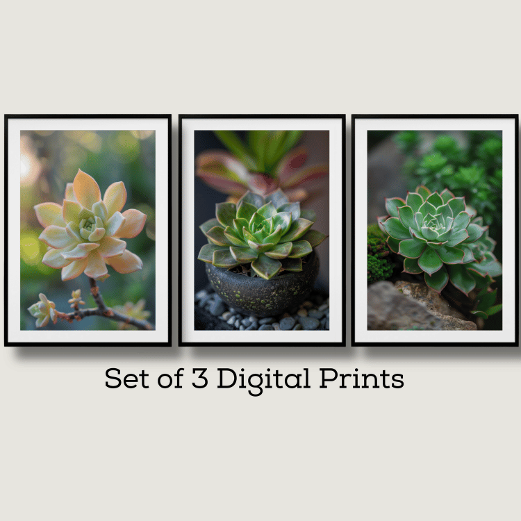 Lush Succulent Photography Art Set