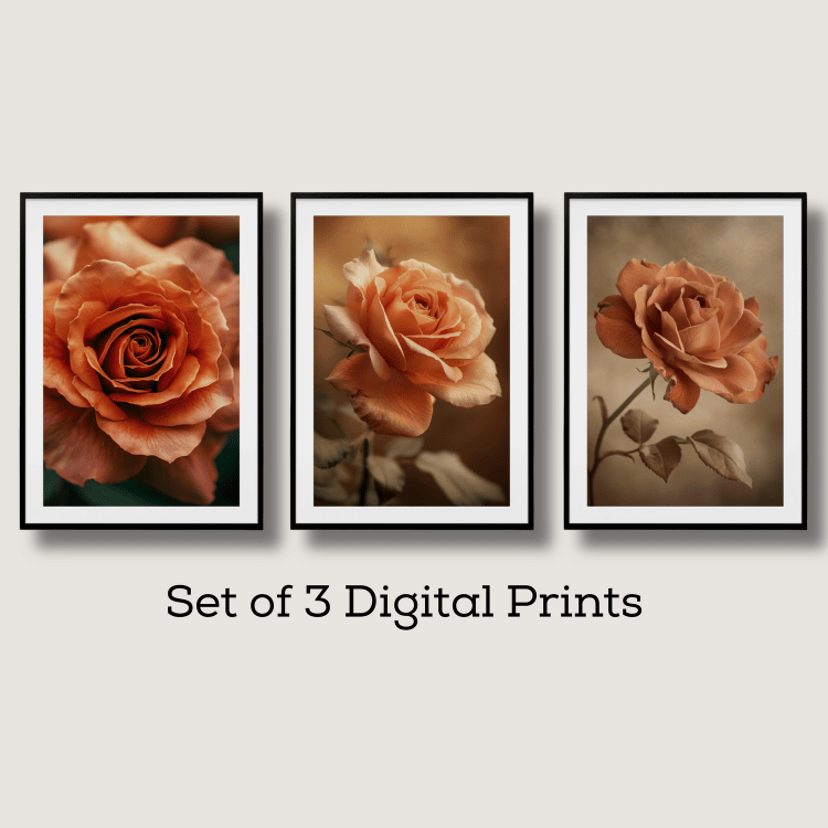 Rustic Orange Rose Digital Art Set