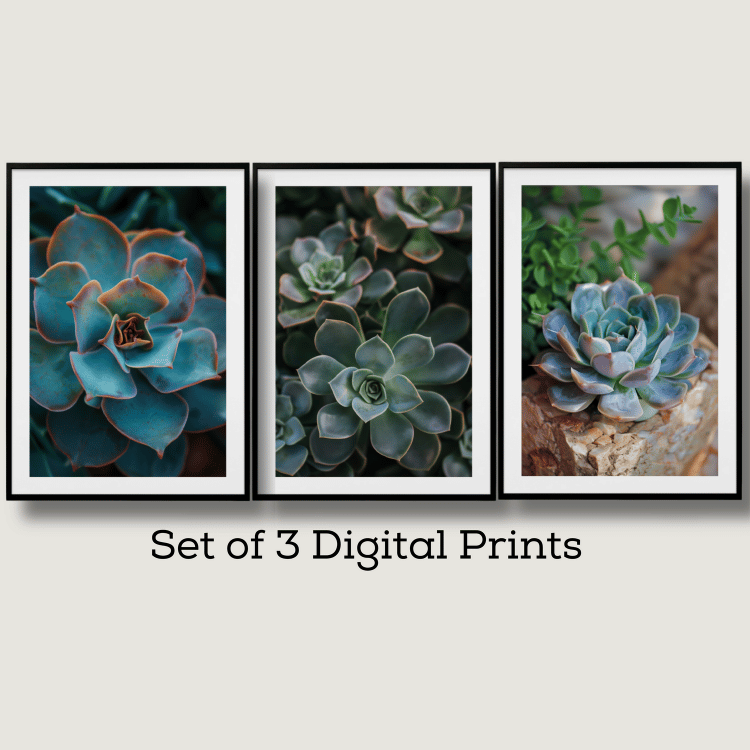 Vibrant Succulent Trio Photography Art Set