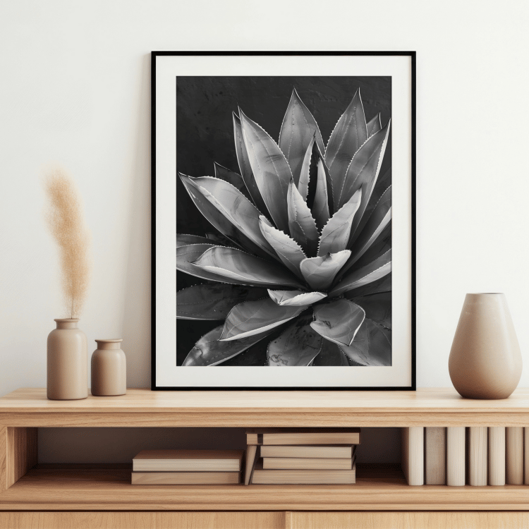 Monochrome Succulent Digital Art Set