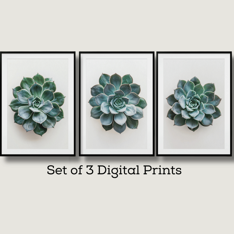 Minimalist Succulent Digital Art Set