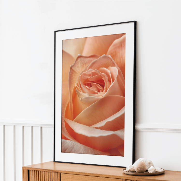 Radiant Peach Rose Digital Art Set