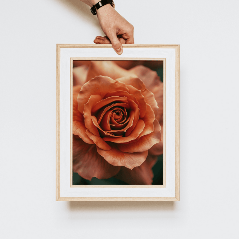 Rustic Orange Rose Digital Art Set